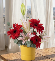 Sarı Saksıda Pembe Lilyumlar ve Kırmızı Gerbera