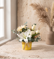 Sarı Polimer Saksıda Gerbera, Gül ve Beyaz Lilyum