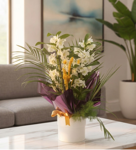 Mor Buket Kağıtlı Beyaz Saksıda Dendrobium