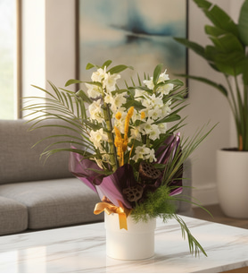Mor Buket Kağıtlı Beyaz Saksıda Dendrobium