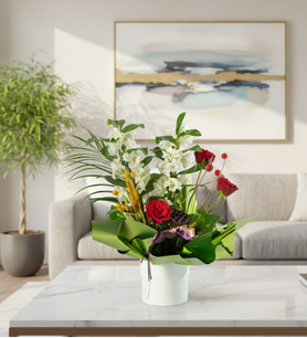 Yeşil Buket Kağıtlı Beyaz Saksıda Dendrobium