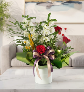 Yeşil Buket Kağıtlı Beyaz Saksıda Dendrobium