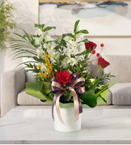 Yeşil Buket Kağıtlı Beyaz Saksıda Dendrobium