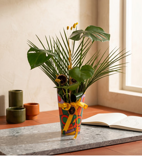 Renkli Saksı Kılıfında Monstera