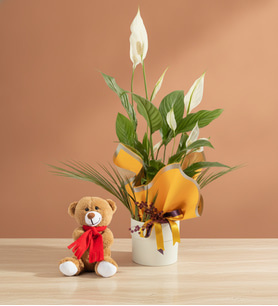 Sarı Buket Kağıdında Spatifilyum ve Peluş Ayıcık