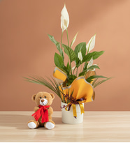 Sarı Buket Kağıdında Spatifilyum ve Peluş Ayıcık
