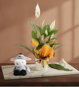Sarı Buket Kağıdında Spatifilyum ve Peluş Eşek
