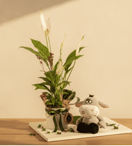 Beyaz Polimer Saksıda Spatifilyum ve Peluş Eşek