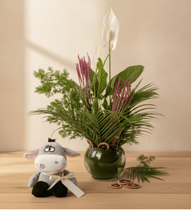 Cam Akvaryumda Spatifilyum ve Peluş Eşek