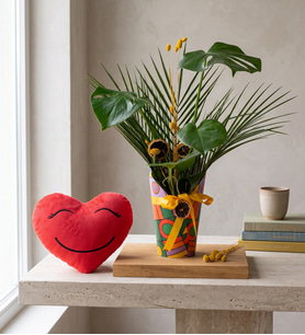 Renkli Saksı Kılıfında Monstera ve Kalp Yastık
