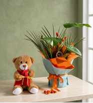 Buket Kağıdında Monstera ve Peluş Ayıcık
