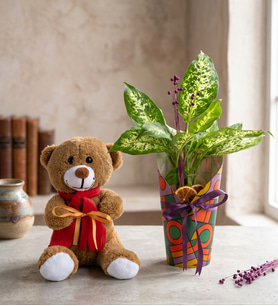 Renkli Saksı Kılıfında Difenbahya ve Peluş Ayıcık