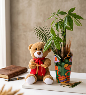 Renkli Saksı Kılıfında Para Ağacı ve Peluş Ayıcık