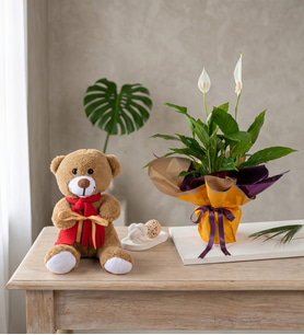 Buket Kağıtlı Saksıda Spatifilyum ve Peluş Ayıcık
