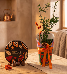 Renkli Kılıflı Zeytin Ağacı ve Gurme Lezzetler
