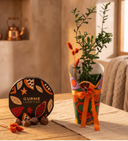 Renkli Kılıflı Zeytin Ağacı ve Gurme Lezzetler
