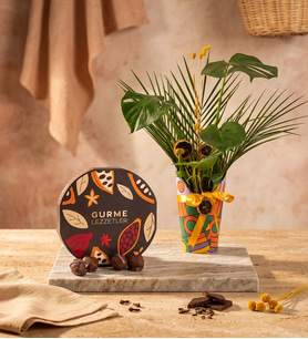 Renkli Saksı Kılıfında Monstera ve Gurme Lezzetler