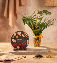 Renkli Saksı Kılıfında Monstera ve Gurme Lezzetler