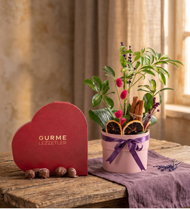 Pembe Saksıda Schefflera ve Gurme Lezzetler